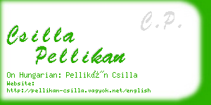 csilla pellikan business card